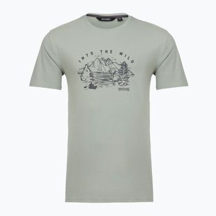 Tricou pentru bărbați Regatta ClineIX glacier wild scene