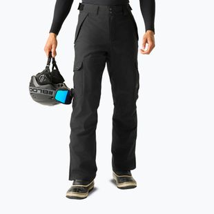 Pantaloni de schi pentru bărbați Dare 2b Baseplate Insulated Pant black