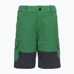 Pantaloni scurți de trekking pentru copii LEGO Lwpayton 300 verde 11010121