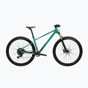 Bicicletă de munte KROSS Level X100 green/black/matte