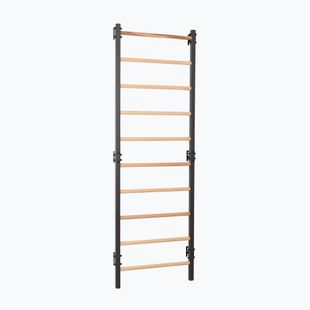 Scară de gimnastică RINAGYM Steel 1 graphit