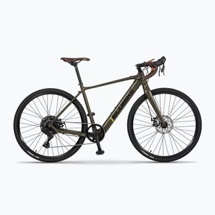 EcoBike Forest/9.7Ah bicicletă electrică verde 1010502