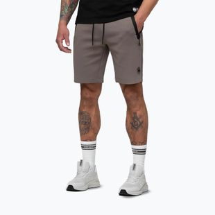Pantaloni scurți pentru bărbați Pitbull Dogwood Sport taupe