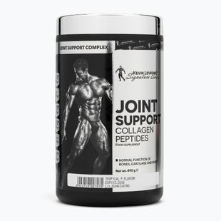 Supliment Fitness Authority Levrone Joint Support 450 g tropical