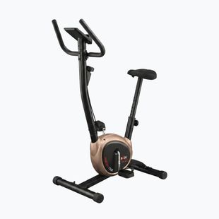 Bicicletă staționară verticală Body Sculpture Bc 1430Gd black