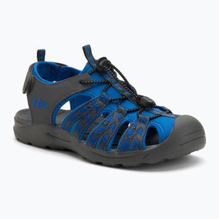 Sandale pentru femei Lee Cooper LCW-25-03-3401LA royal blue/grey
