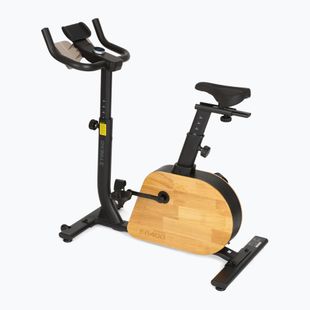 Bicicletă electrică XTREXO EB400 black