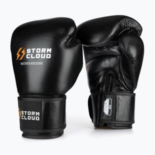 Mănuși de box StormCloud Muay Thai Blizzard 2.0 black/white