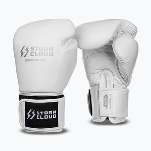 Mănuși de box StormCloud Muay Thai Blizzard 2.0 white/silver