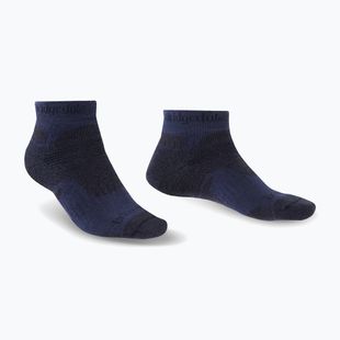 Șosete de trekking pentru bărbați Bridgedale Hike Midweight Performance Ankle navy