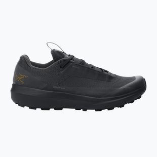 Încălțăminte de alergare pentru bărbați Arcteryx Norvan LD 4 GTX black/black