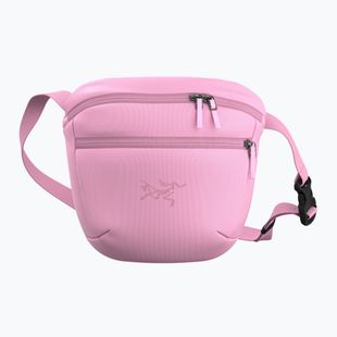 Borsetă Arc'teryx Mantis 2 2,5 and pineberry