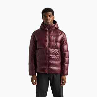 Geacă izolată pentru bărbați Arcteryx Cerium SV Hoody ultima