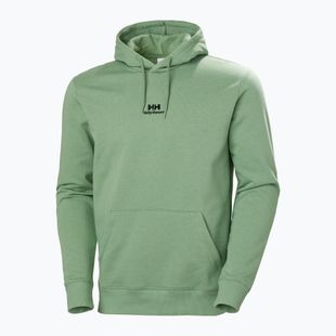 Bluză pentru bărbați Helly Hansen Yu Hoodie 2.0 jade 2.0