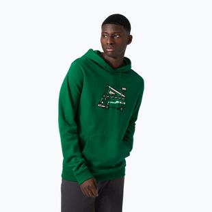Tricou de trekking pentru bărbați Helly Hansen F2F F2F Hoodie din bumbac organic malachite