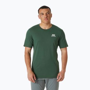 Tricou pentru bărbați Helly Hansen Nord Graphic jungle green