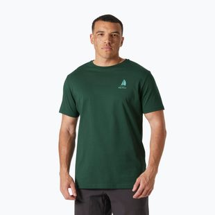 Tricou pentru bărbați Helly Hansen Shoreline 3.0 jungle green