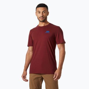Tricou pentru bărbați Helly Hansen Nord Graphic mars red