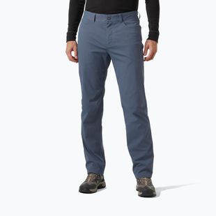 Pantaloni de trekking pentru bărbați Helly Hansen Holmen 5 Pocket alpine frost