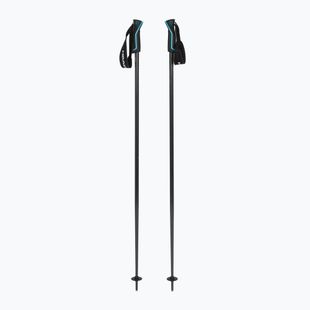 Bețe de schi HEAD Frontside carbon black/speed blue