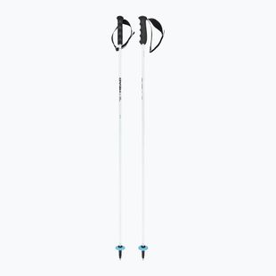 Bețe de schi HEAD Worldcup Rebels Carbon white