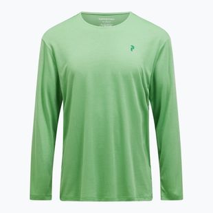 Longsleeve pentru bărbați Peak Performance Delta LS peppermint