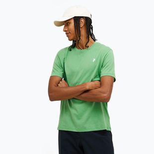 Tricou pentru bărbați  Peak Performance Explore Graphic peppermint