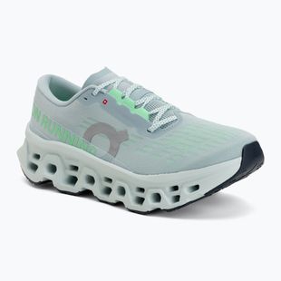 Încălțăminte de alergare pentru bărbați On Cloudmonster 3 brook/flurry