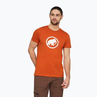 Tricou pentru bărbați Mammut Core T-Shirt Men Classic autumn larice