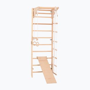 Scară de gimnastică RINAGYM Kombi 3