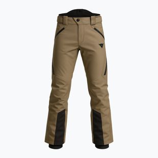 Pantaloni de schi pentru bărbați Dainese Speed Demon Lab Pro 2.0 kaki