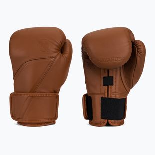 Mănuși de box Hayabusa E1 Leather brown