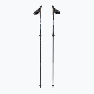Bețe de nordic walking Fizan R-Evolution beige