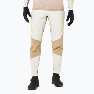 Pantaloni de ciclism pentru bărbați Oakley Maven Scrub mist