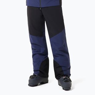 Pantaloni de schi pentru bărbați Oakley Canopy Pro Insulated abyss/black