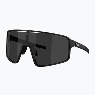 Ochelari de soare Bliz P001 matte black/smoke