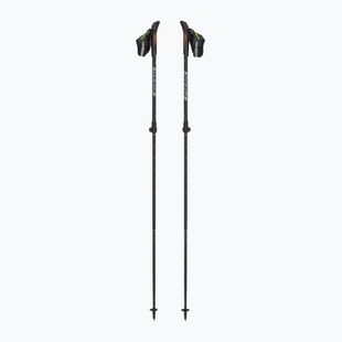 Bețe de nordic walking Fizan R-evolution grey/ocean