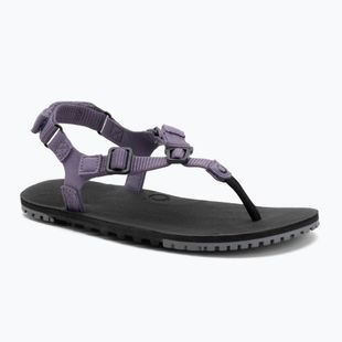 Sandale barefoot pentru femei Xero Shoes H-Trail sage purple