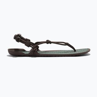 Sandale barefoot pentru bărbați Xero Shoes Aqua Cloud java/brown/dark/forest