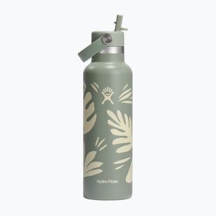 Sticlă termică Hydro Flask Standard Flex Straw 620 ml botanical bliss/agave