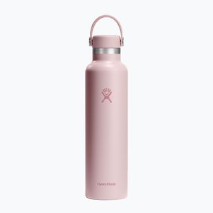 Sticlă termică Hydro Flask Standard Flex Cap 710 ml trillium