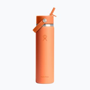 Sticlă termică Hydro Flask Standard Flex Straw 620 ml nectar
