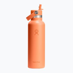 Sticlă termică Hydro Flask Standard Flex Straw 620 ml nectar