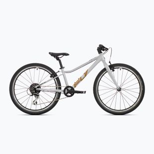 Bicicletă pentru copii Superior F.L.Y. 24 VB matte silver