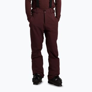 Pantaloni de snowboard pentru bărbați Protest PRTMikado pecanred