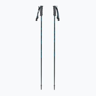 Bețe de schi Fischer RC4 Noize grey / blue