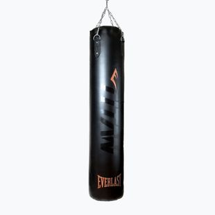 Sac de antrenament Everlast Boxer TITAN black