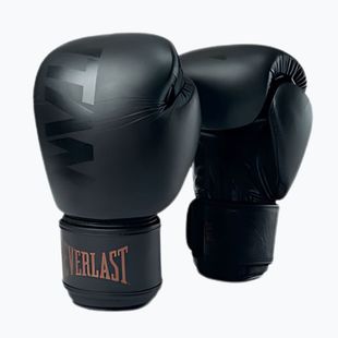 Mănuși de box Everlast Muay Thai – TITAN black