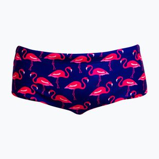 Boxeri de înot pentru bărbați Funky Trunks Sidewinder Trunks flocked up