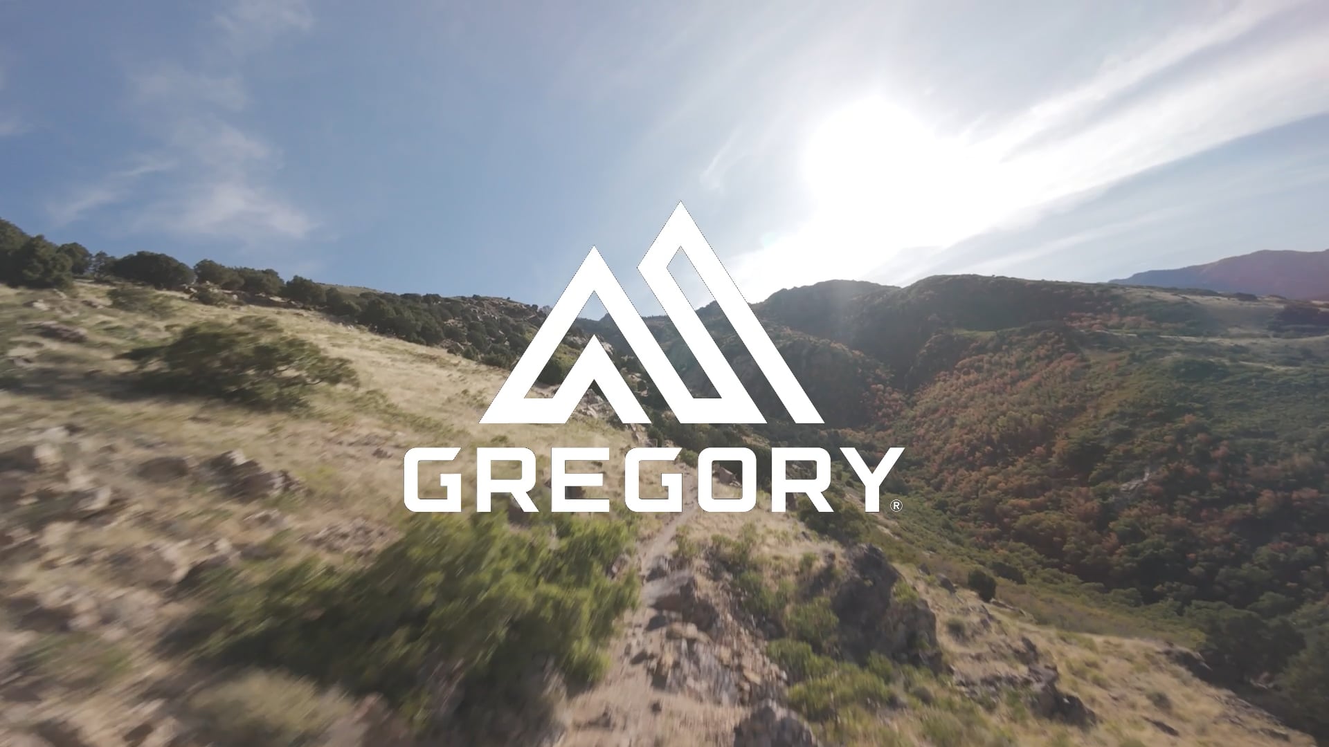 Rucsac de drumeții Gregory Kiro 20 l RC alpine black